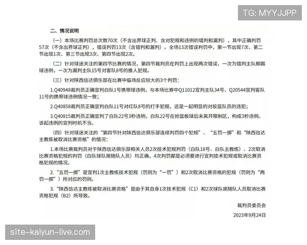 裁判报告须载哪些要素及对纪律判罚的作用解析