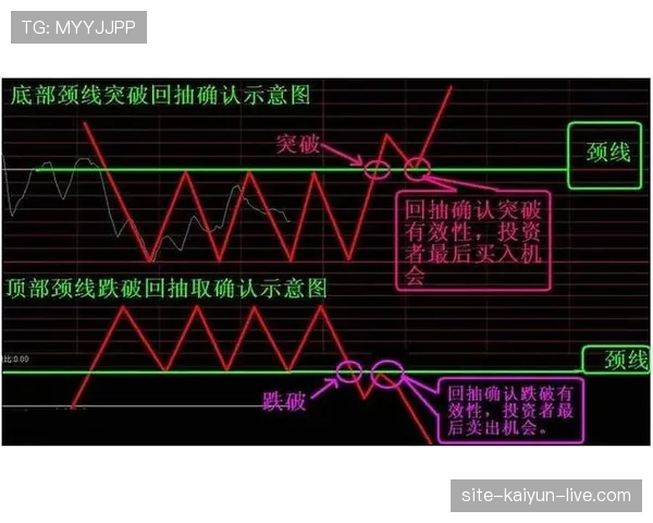 尼科·威廉斯进攻能力进化解析：从天赋兑现到实战突破