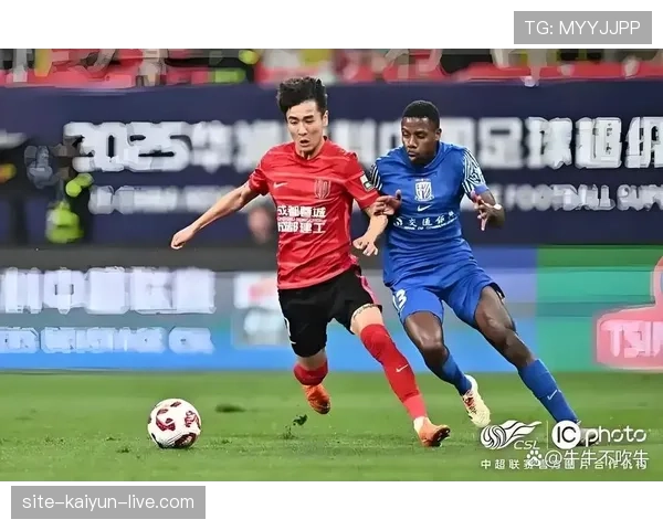 申花主力稳定表现突出，替补深度波动明显，赛季后期竞争力面临考验